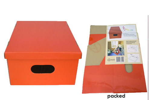 Foldable cardboard CD/DVD storage box